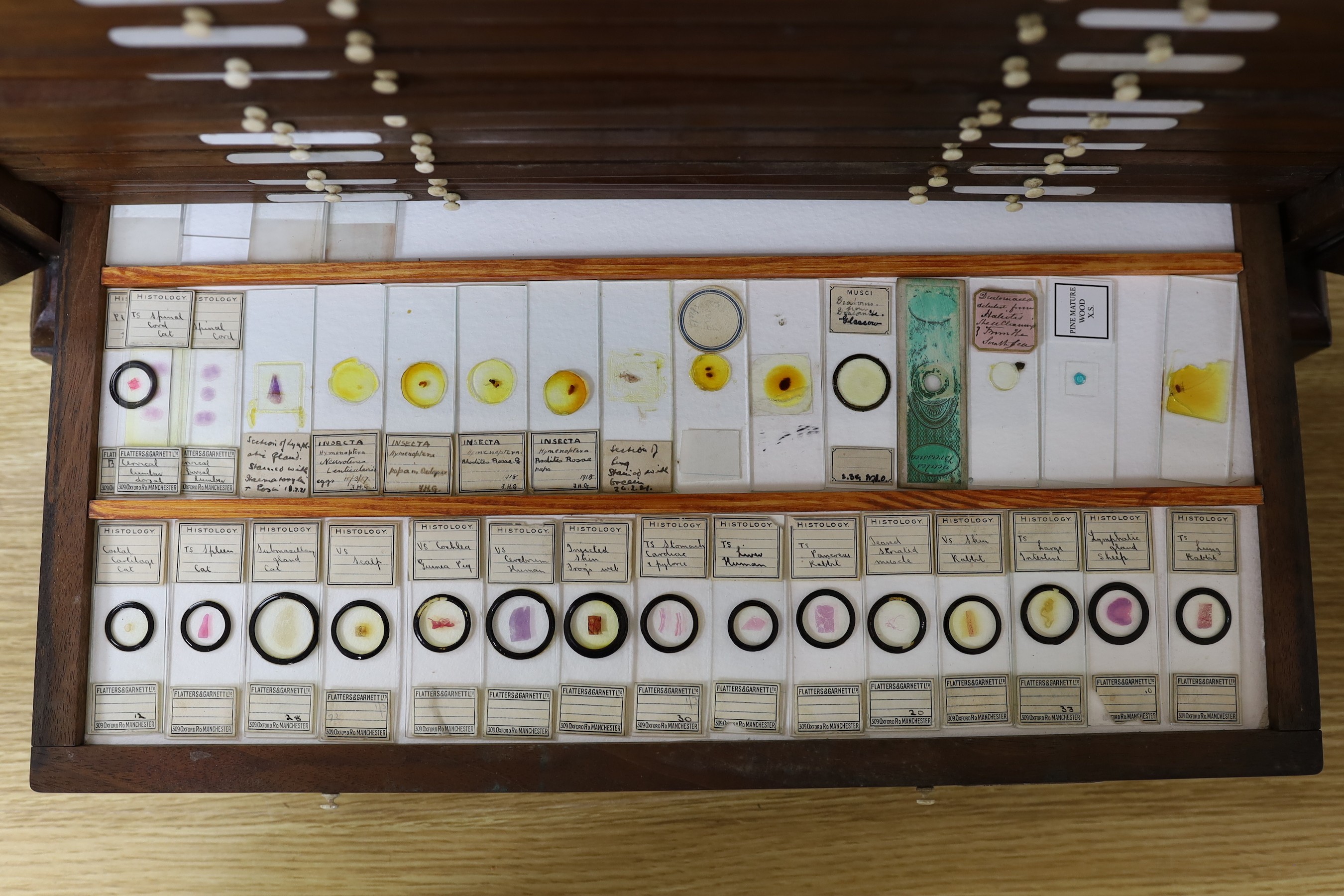 An Edwardian mahogany microscope slide collector's cabinet, eight trays containing insect, zoological histology and botany slide specimens, 48 cm high, 51 cm wide, 36 cm deep